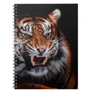 Sumatran tiger (Panthera tigris sumatrae) beautifu Notebook
