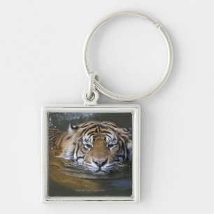 Sumatran tiger, Panthera tigris sumatrae Key Ring