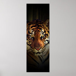 Sumatran Tiger Poster