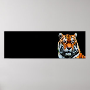 Sumatran Tiger Poster