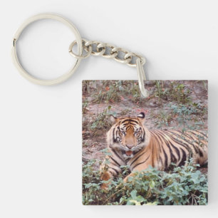Sumatran tiger Square (double-sided) Keychain