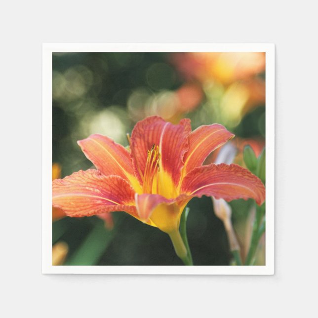 Sumder Daylily  Paper Napkin (Front)