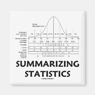 Summarising Statistics Magnet