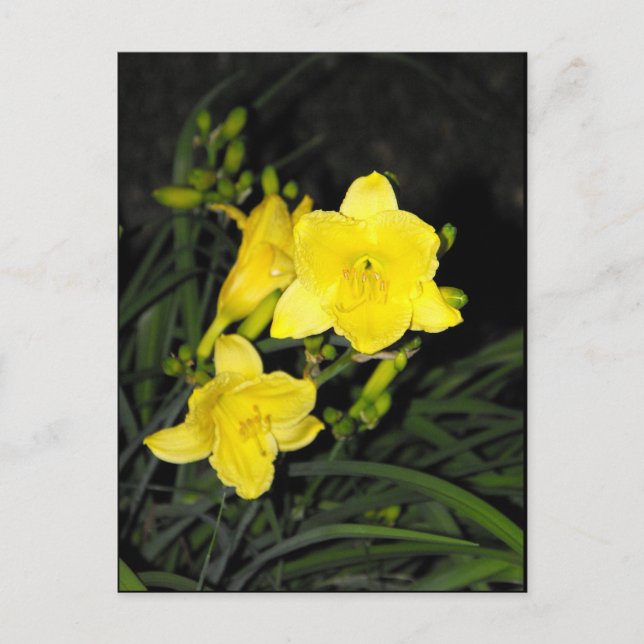 ~ Summer 10 ~ Postcard (Front)