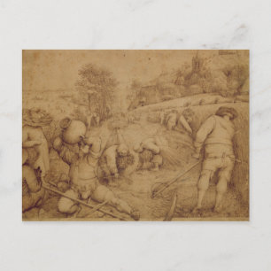 Summer, 1568 postcard