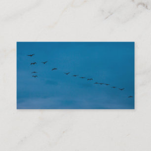 Summer 2019 Seagulls looking for food Business Card