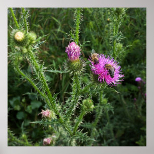 Summer activity poster