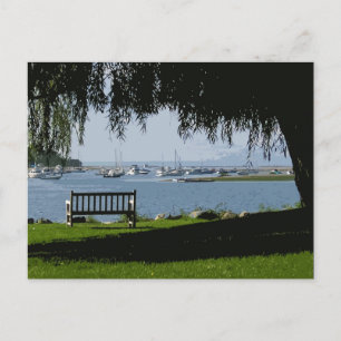 Summer Afternoon @ the Harbour Postcard