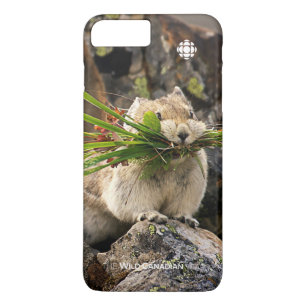 Summer - American Pica Case-Mate iPhone Case