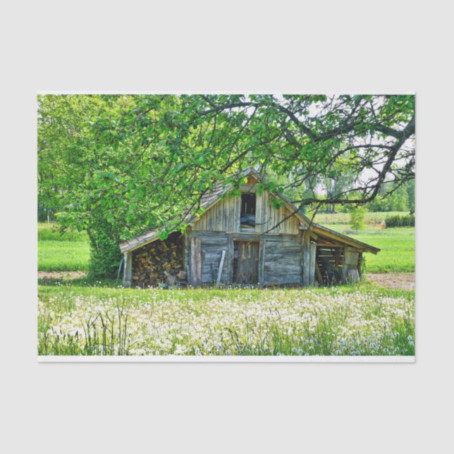 Summer Barn with Stacks of Logs & Dandelion Field Tissue Paper (Front)