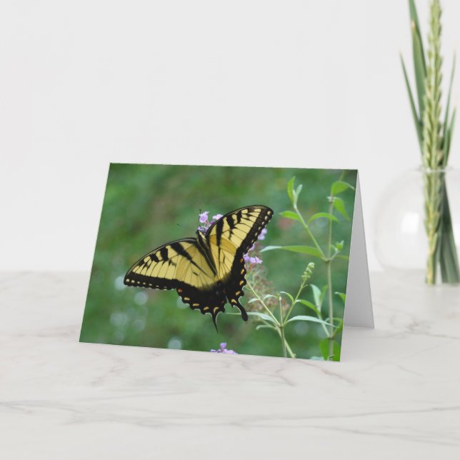 Summer Beauty Card (Front)