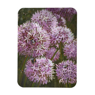 Summer bees 2014 magnet