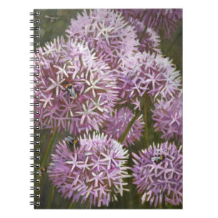 Summer bees 2014 notebook
