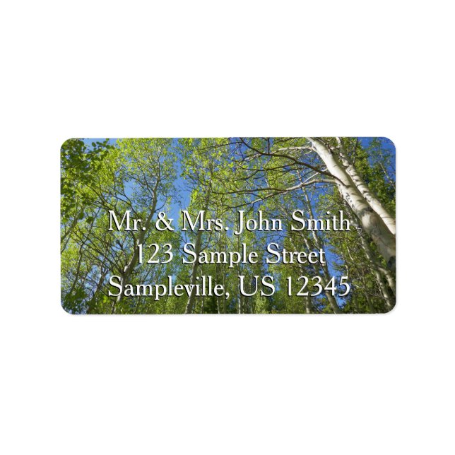 Summer Birch Trees at Rocky Mountain Label (Front)