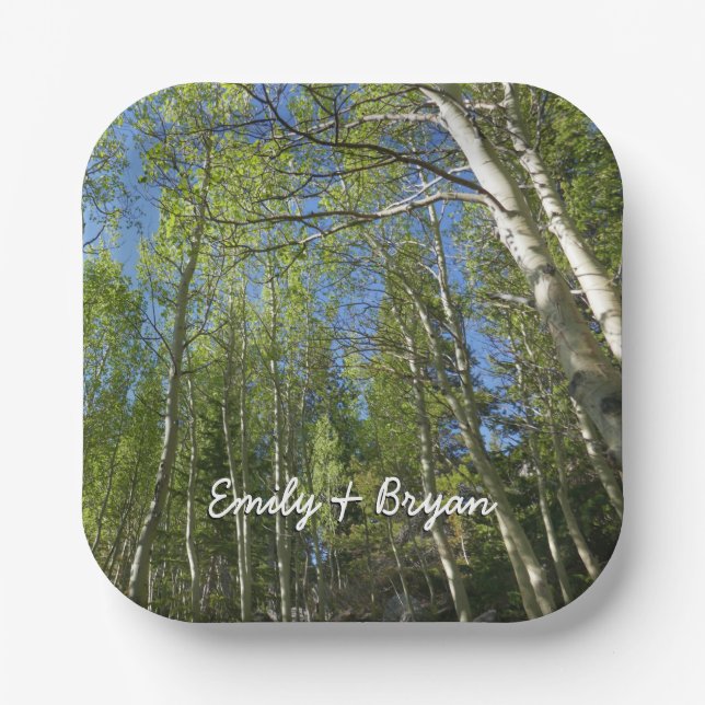Summer Birch Trees at Rocky Mountain Paper Plate (Front)