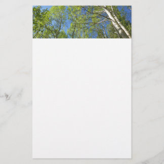Summer Birch Trees at Rocky Mountain Stationery