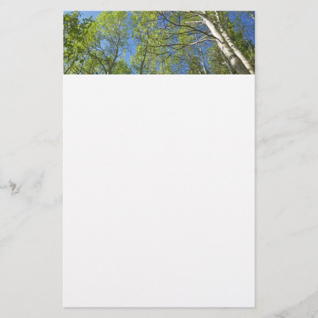 Summer Birch Trees at Rocky Mountain Stationery (Front)