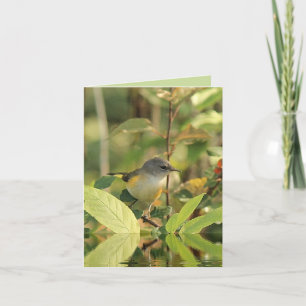 Summer Bird Note Card
