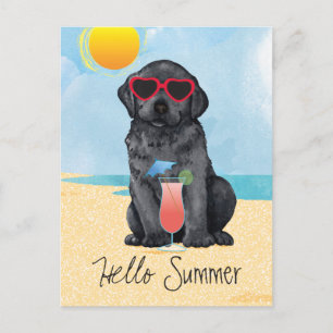 Summer Black Lab Postcard