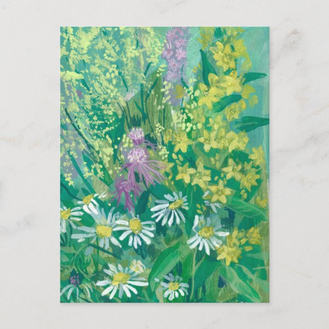 Summer Bloom Wildflowers Meadow Flowers Floral Art Postcard (Front)