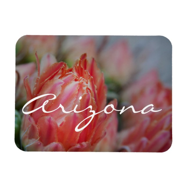 Summer blooms from Arizona Magnet (Horizontal)