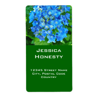summer blue hydrangea flowers and its green leaves