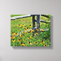 Summer Blue Ridge Parkway USA Wildflower Photo