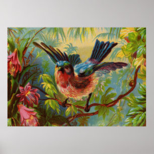 Summer Bluebird Medium Poster