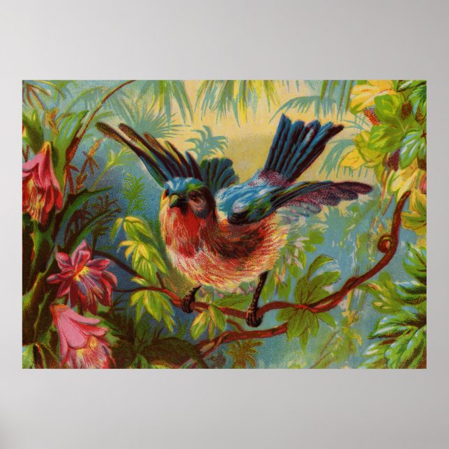 Summer Bluebird Medium Poster (Front)