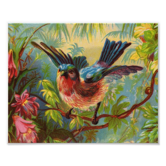 Summer Bluebird Photo Print (Front)