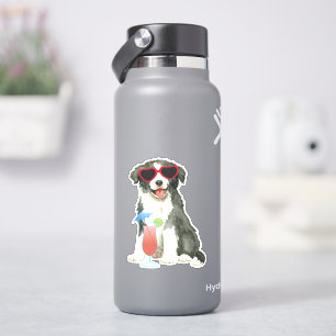 Summer Border Collie Vinyl