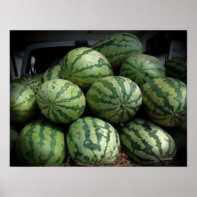 Summer Bounty Poster (Front)