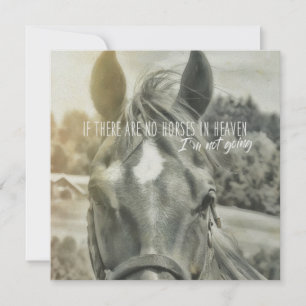 SUMMER BREEZE 5.25 x 5.25 card