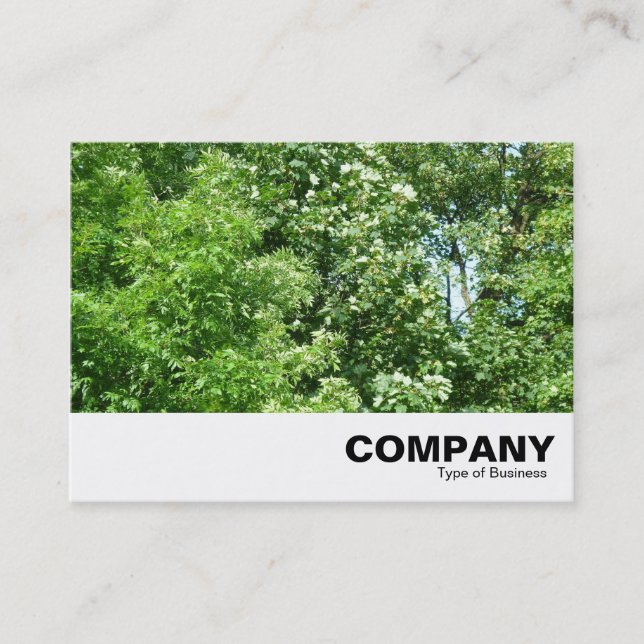 Summer Breeze Business Card (Front)