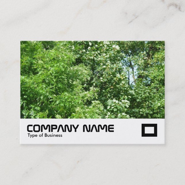 Summer Breeze Business Card (Front)