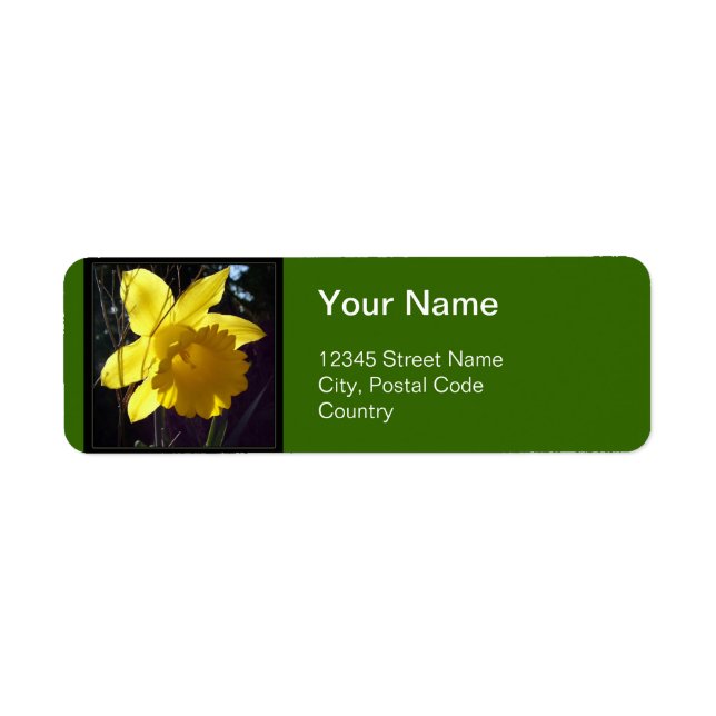 Summer bright yellow daffodil flower address label (Front)