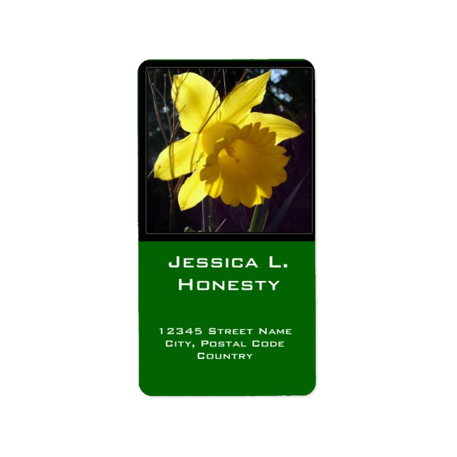 Summer bright yellow daffodil flower address label (Front)