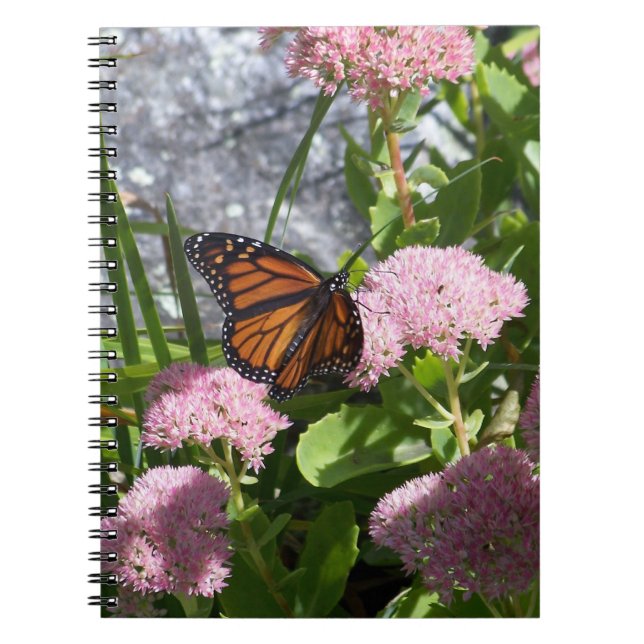 Summer Butterfly Notebook (Front)
