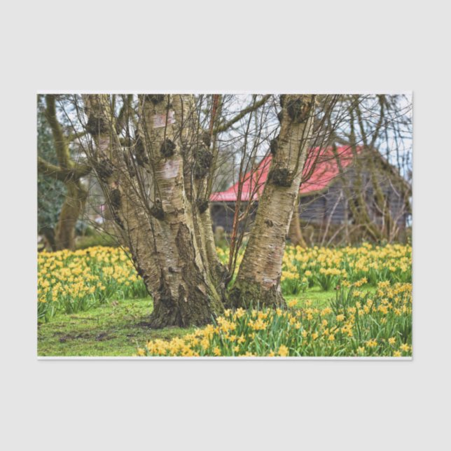 Summer Cabin Complete, Old Tree and Yellow Flowers Tissue Paper (Front)