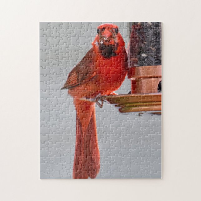 Summer Cardinal Puzzle (Vertical)