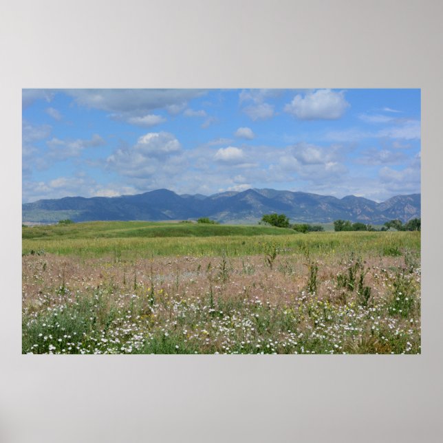 Summer Colorado landscape Poster (Front)