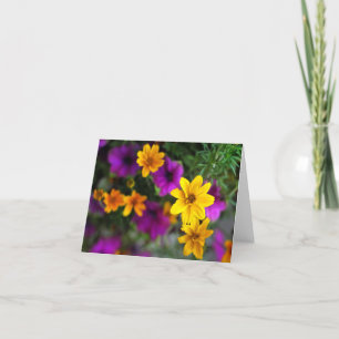 Summer Colour Blank Note Cards