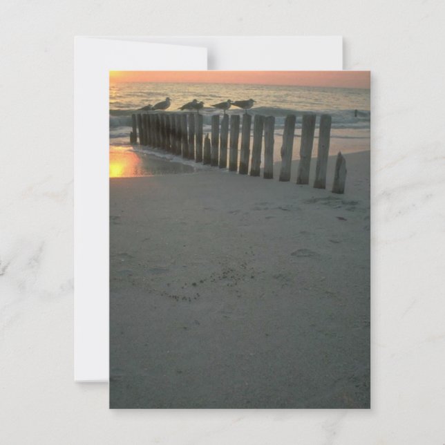 Summer Cottage Camp Invite Beach Party Invitation (Front)