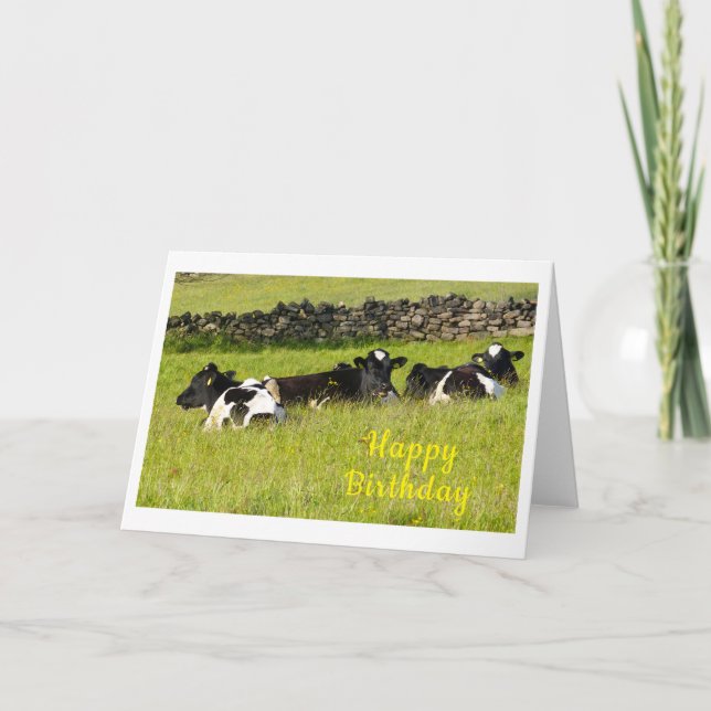 Summer cows Birthday Card (Front)