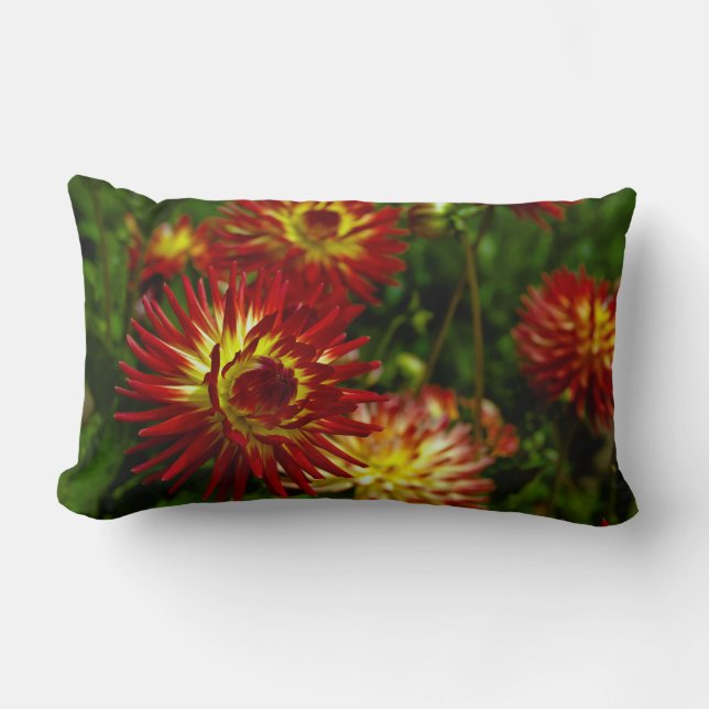 Summer Dahlia Flower Lumbar Cushion (Front)