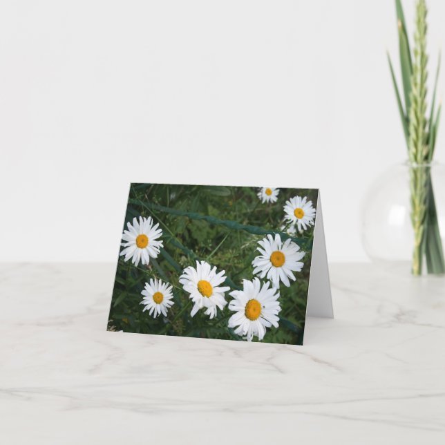Summer Daisies Blank Folded Greeting Card (Front)