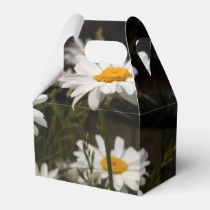 Summer Daisies Favour Box