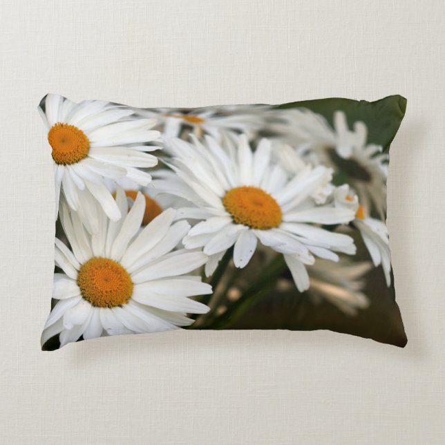 Summer Daisy Accent Pillow (Front)