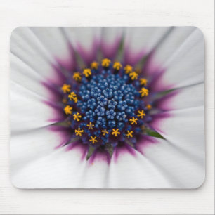 Summer Daisy Close Up Mouse Pad