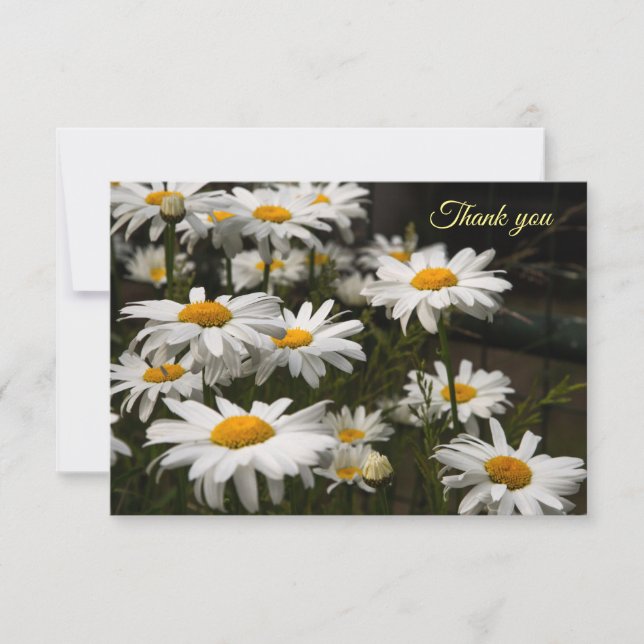 Summer Daisy Flat Thank You Card (Front)